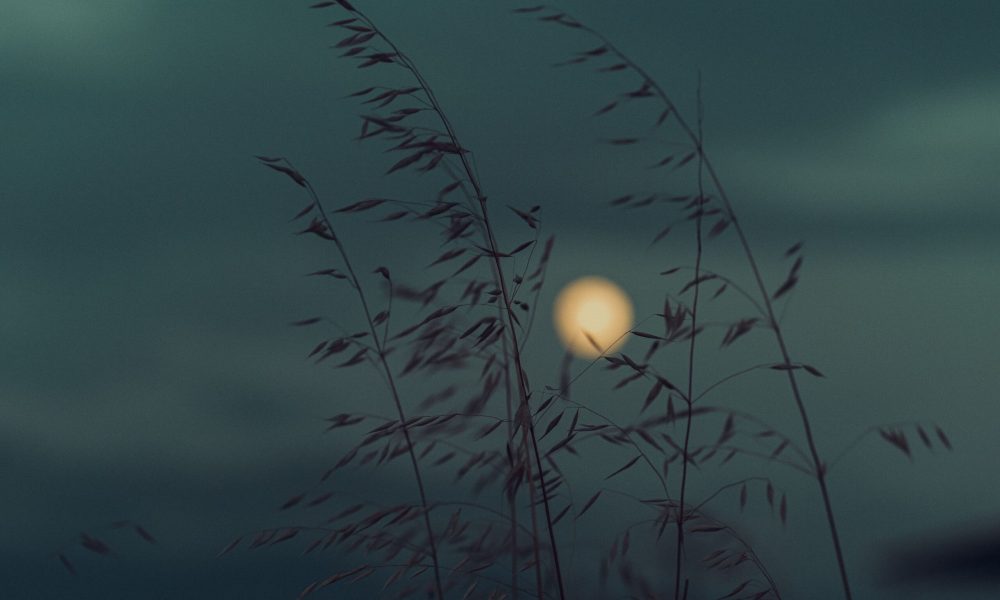 Vollmond